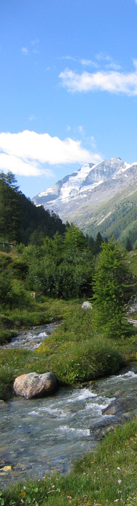 Grubental