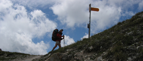 Meidpass